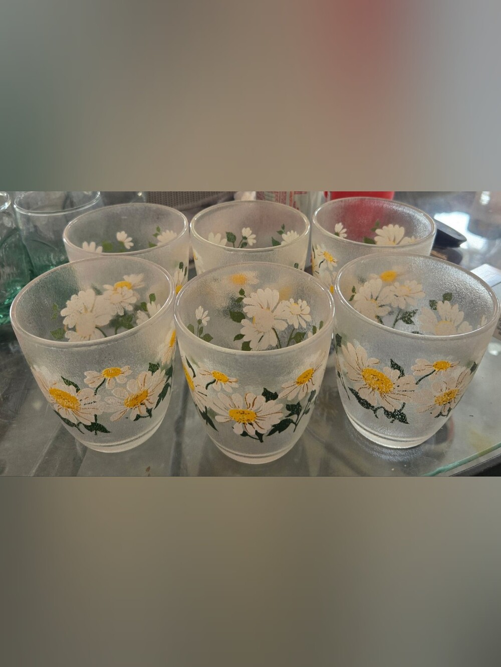 Vintage H.J. Stotter Daisy Frosted Acrylic Juice Cups Set of 6